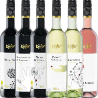 Vorschau: 6er Winzerpaket Käfer Weine aus Italien - Käfer