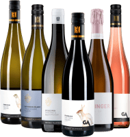 Vorschau: Vini entusiasmanti della cantina Aldinger - pacchetto di familiarizzazione 6x