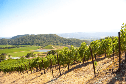 Weinberg von Shafer Weinberg von Shafer