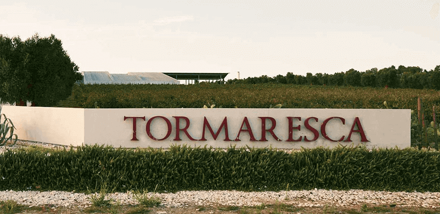 Tormaresca Cantina Tormaresca Cantina