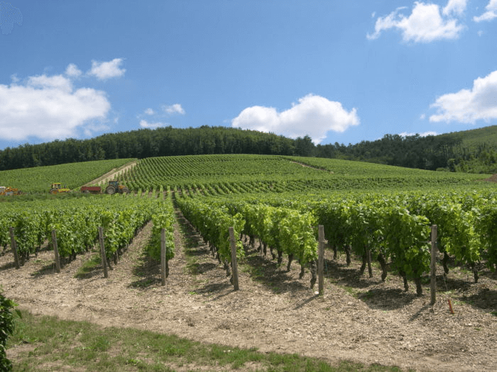 Il Château de la Greffiere