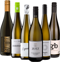 Vorschau: Confezione da 6 vitigni – Bestseller di Pinot Grigio dalla Germania