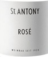 Vorschau: Pinot Noir Rosé trocken - St. Antony