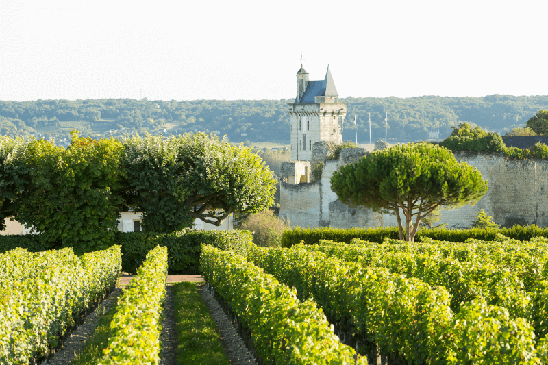 Château sulla Loira in Francia