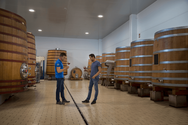Im Keller der Bodegas y Viñedos Ponce Im Keller der Bodegas y Viñedos Ponce
