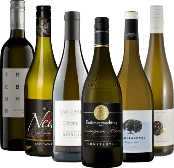Unsere Sauvignon Blanc-Bestseller