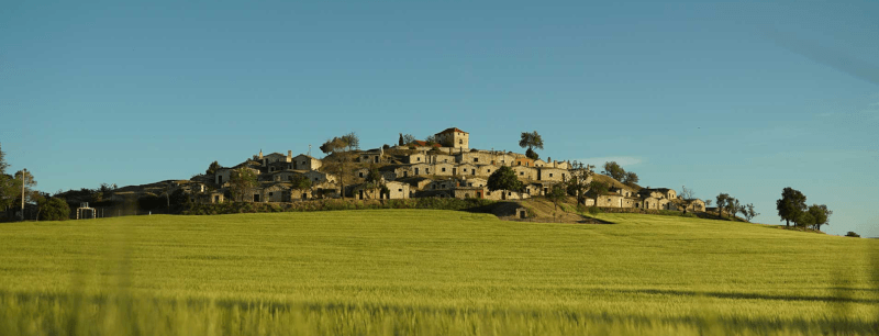 Bodega Bardos