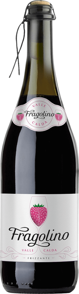 Vorschau: 6er Vorteils-Weinpaket - Fragolino Valle Calda Frizzante - Vinicola Decordi