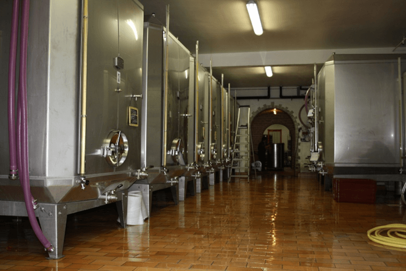 Nella cantina della cantina