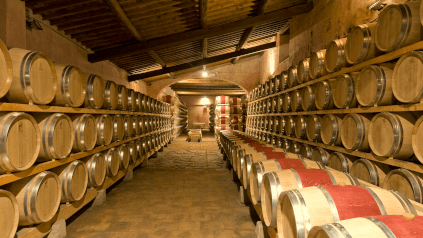 Cantina del Castello di Nipozzano