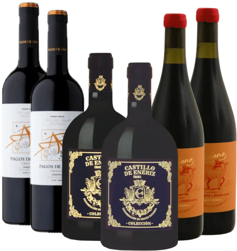Degustazione di vino rosso della Navarra - confezione scoperta x6