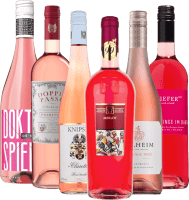 VINELLOs beste Roséweine - 6x Topsellerpaket