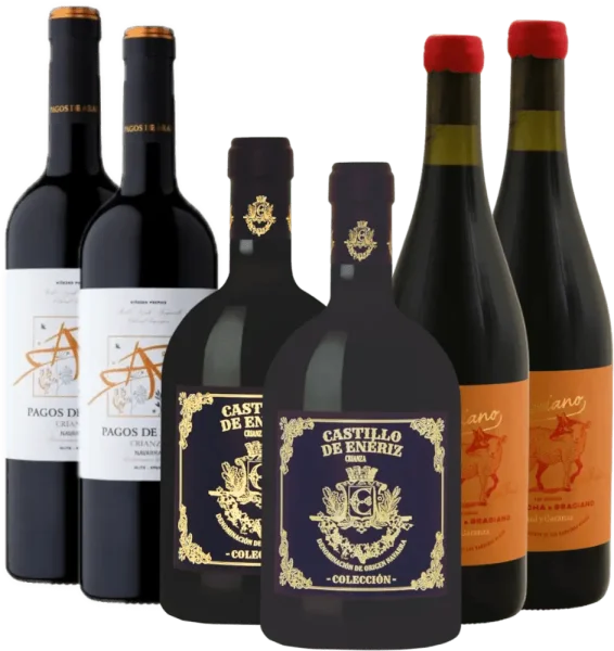Degustazione di vino rosso della Navarra - confezione scoperta x6