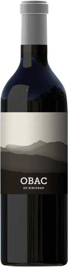 Vorschau: 6x Vorteils-Weinpaket Obac - Binigrau