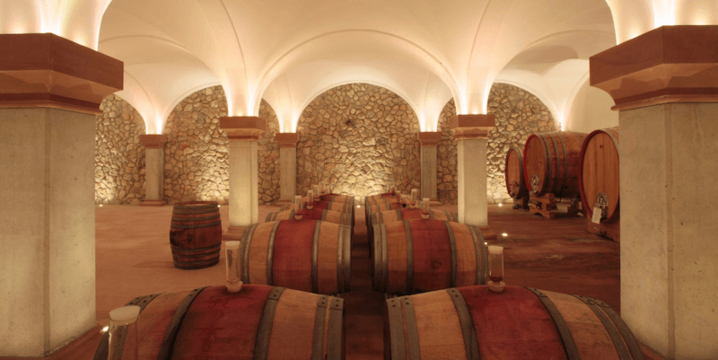 Tenuta Joachim Flick volte della cantina