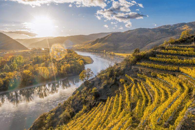 Duna Seitenhang Weinberge und Böden der Region Duna