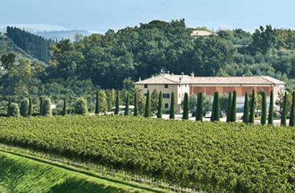 Cantina Bolla