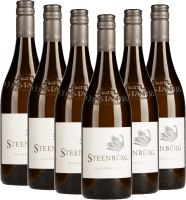 6x Vorteils-Weinpaket Sauvignon Blanc - Steenberg