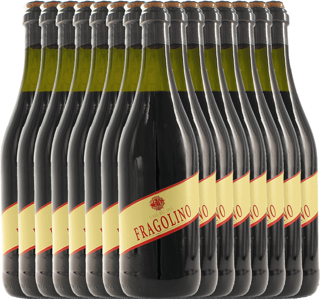 15er Vorteilspaket - Fragolino Rosso - Terre del Sole