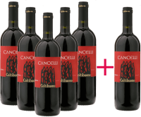 5+1 Vorteils-Weinpaket Cancelli Rosso Toscana IGT 2018 - Badia a Coltibuono