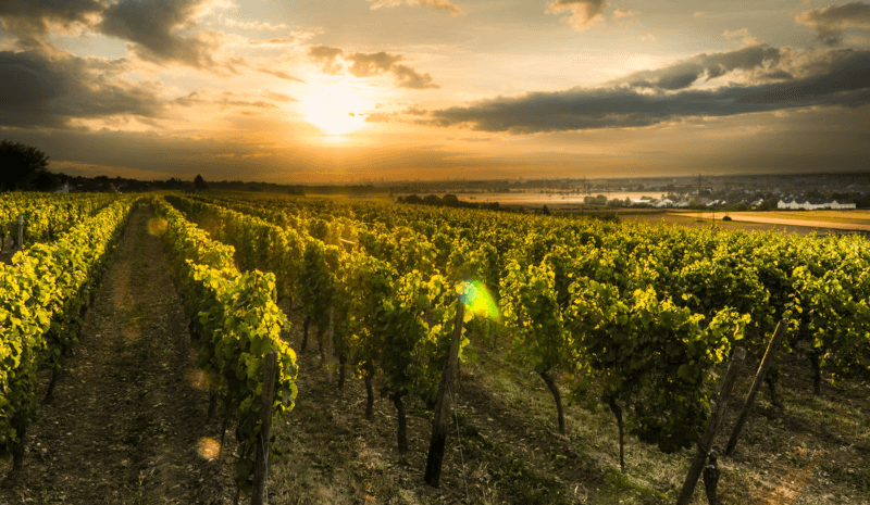 Tenuta Joachim Flick miglior posizione