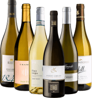 Vini bianchi frizzanti Pinot Grigio dall'Italia - Confezione da 6 degustazioni