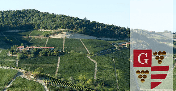 Elio Grasso Elio Grasso