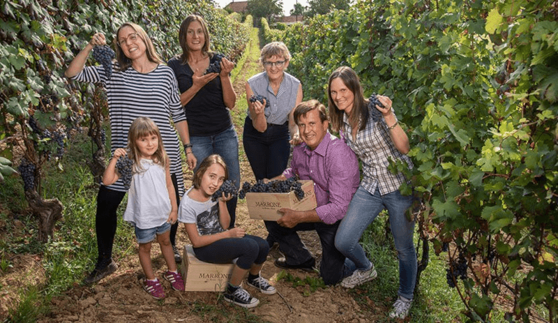 Die Familie Marrone im Weinberg Die Familie Marrone im Weinberg