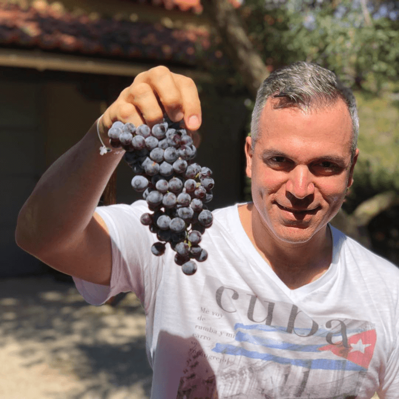 Oenops Wines Winzer Oenops Wines Winzer