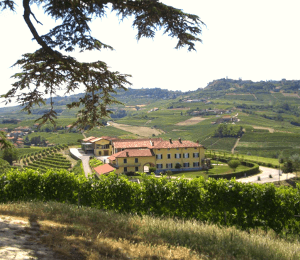 Weingut Cordero di Montezemolo Weingut Cordero di Montezemolo