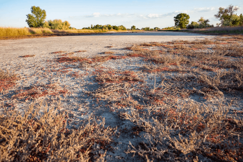 Tenuta Salzl salina natura Tenuta Salzl salina natura