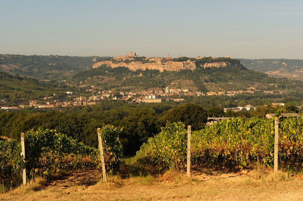 Panorama von Orvieto
