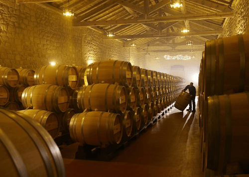 La cantina di Bodegas Muga